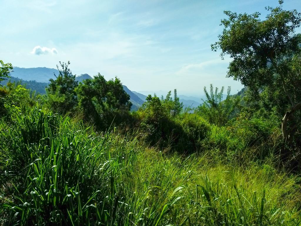 Village View Homestay Ella Exterior foto
